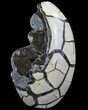 Polished Septarian Geode Sculpture - Black Crystals #73136-2